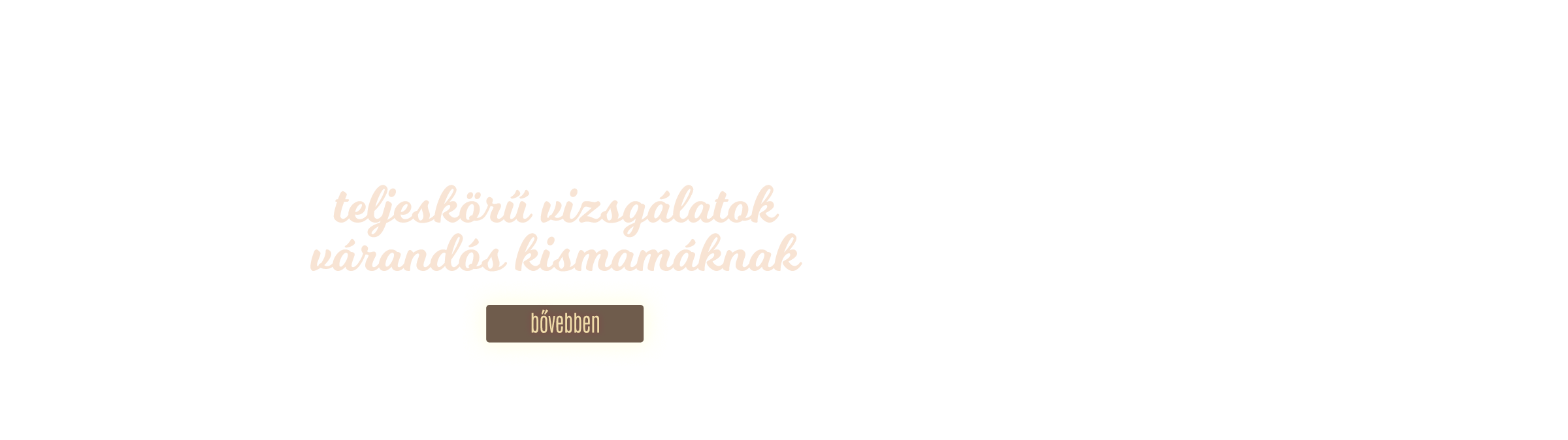 slide-2-text